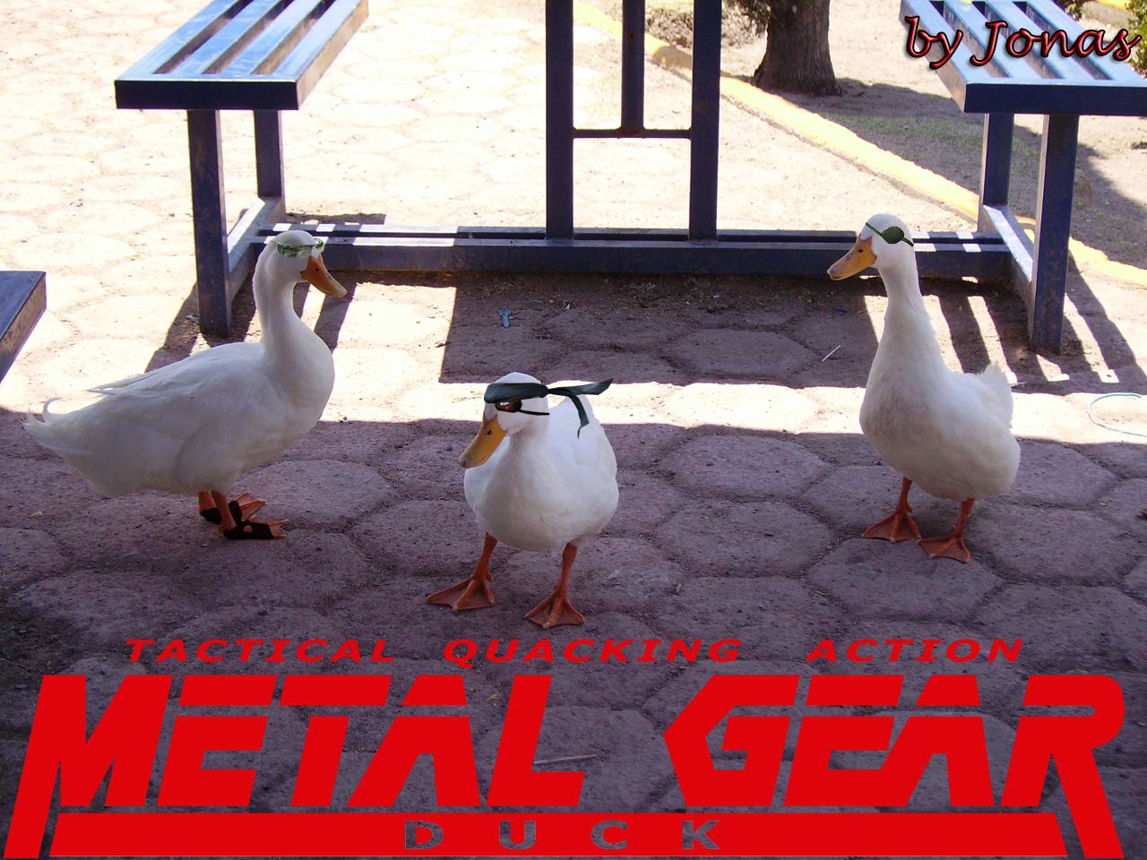 Metal Gear Duck